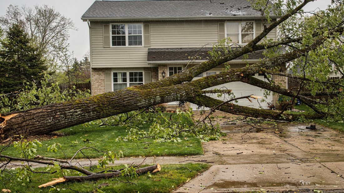 Storm-damaged tree fallen on a roof in Murfreesboro, TN