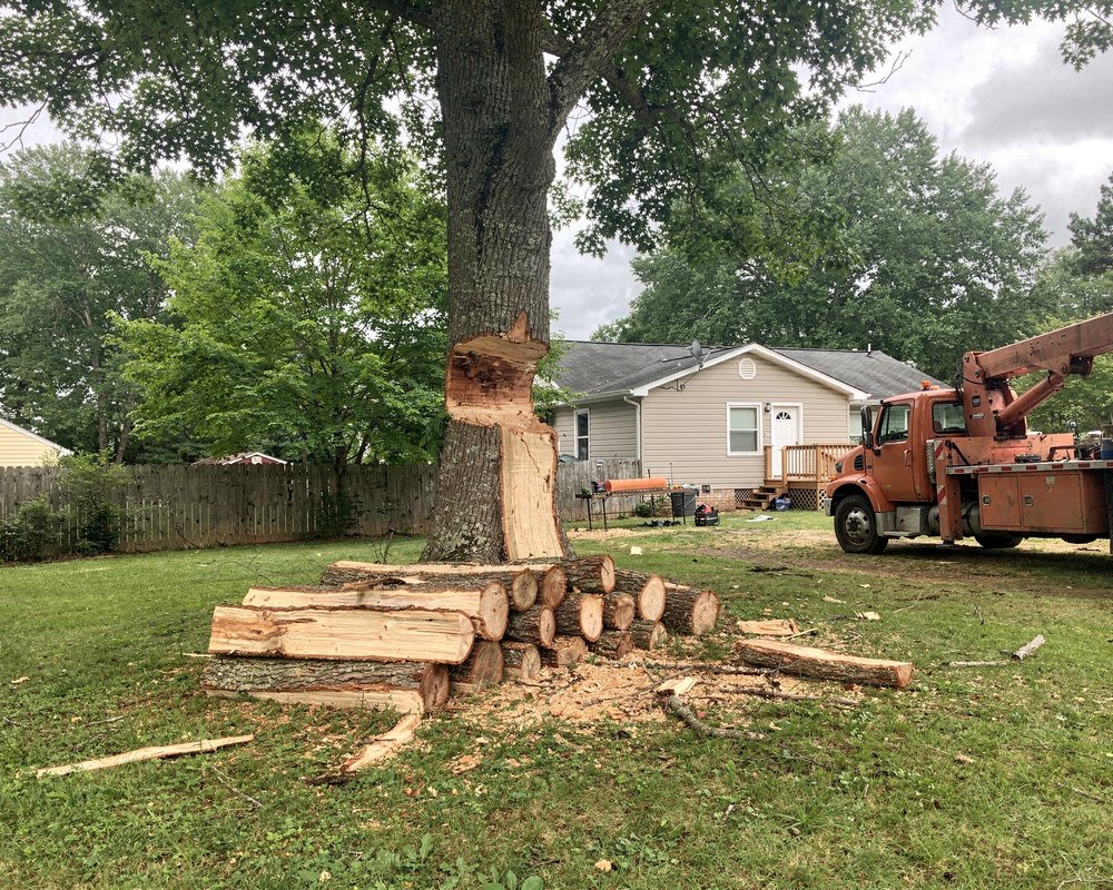 Tree being removed in sections by crane at a Murfreesboro, TN home