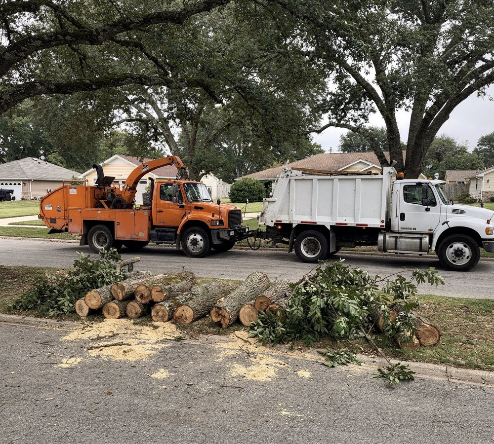 Tree crew with bucket truck and chipper working in Murfreesboro, TN